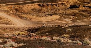 德州扑克新手太想看穿别人（德扑新手过度专注于看透对手）