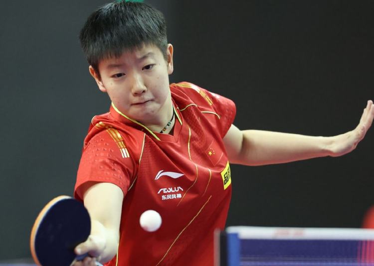 中国新秀杨 中国新秀杨