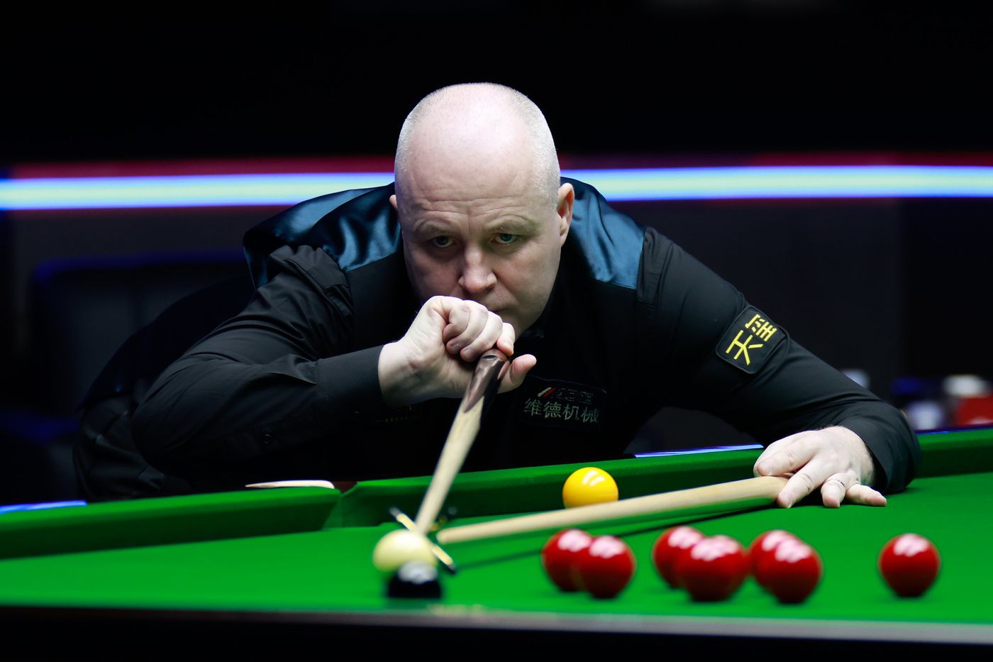 充满惊喜的 充满惊喜的